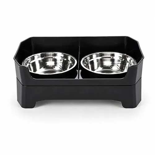 Elevated Double Dog Bowl
