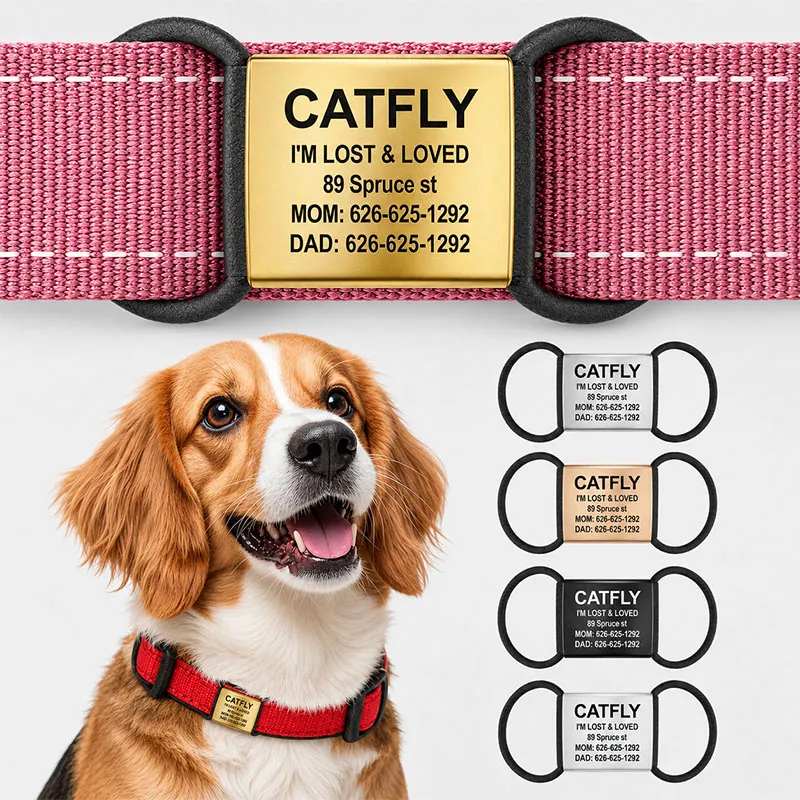 Animal Collar Tag
