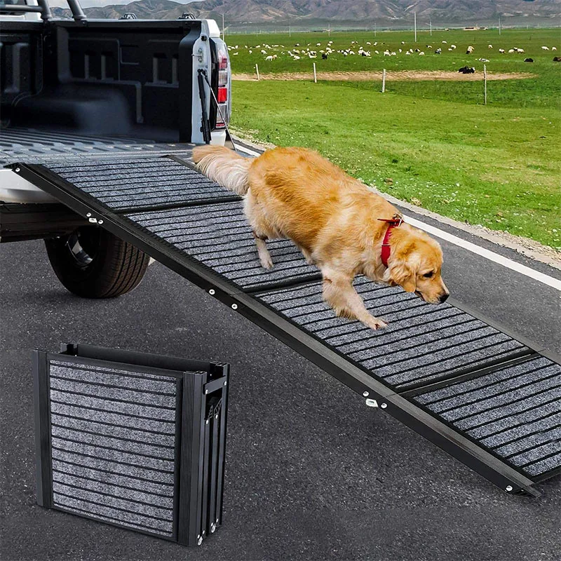 How to Make Your Home More Accessible for Your Senior Dog Detailed Guide