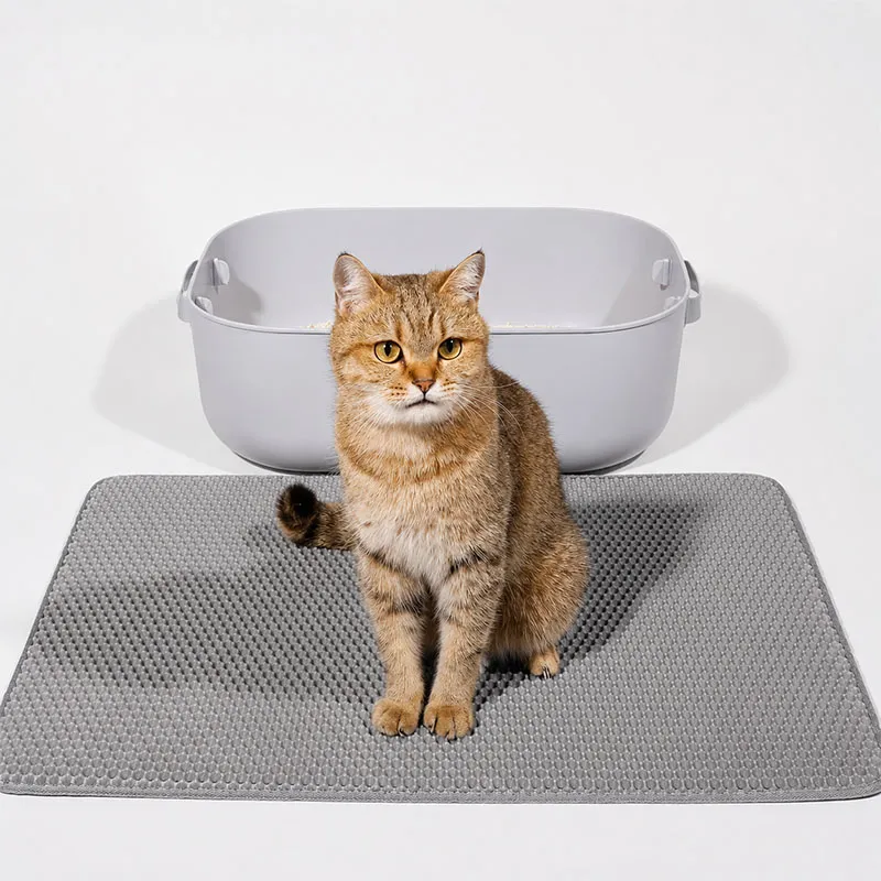Double Layer Cat Litter Mat