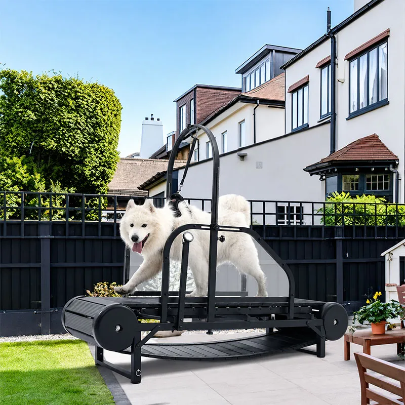 Non-Motorized Dog Treadmill for Large Dogs