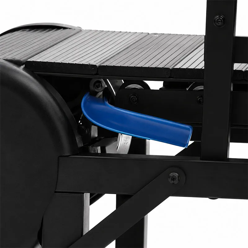 Motorized Dog Treadmill