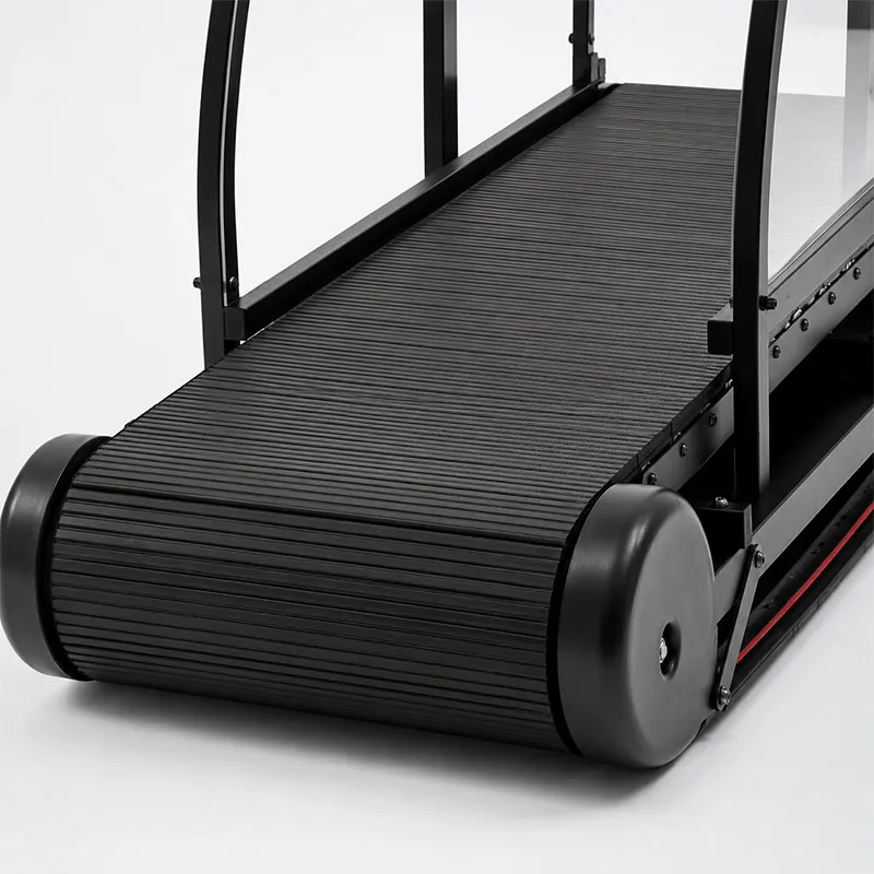 Motorized Dog Treadmill
