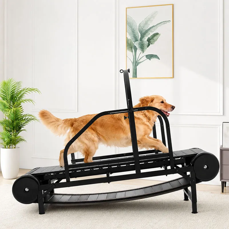 Motorized Dog Treadmill