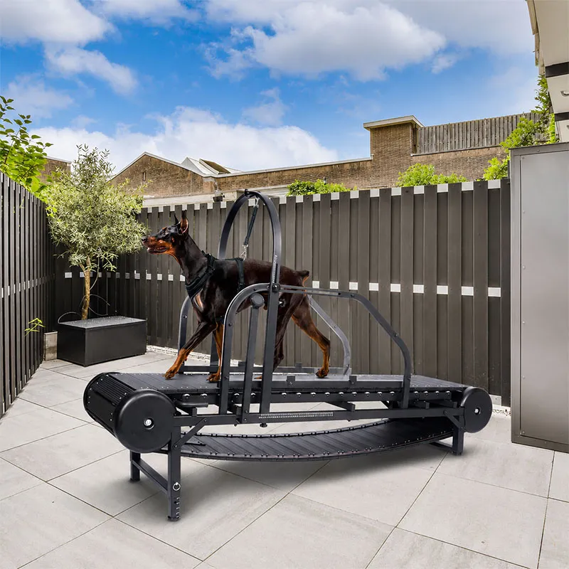 Motorized Dog Treadmill