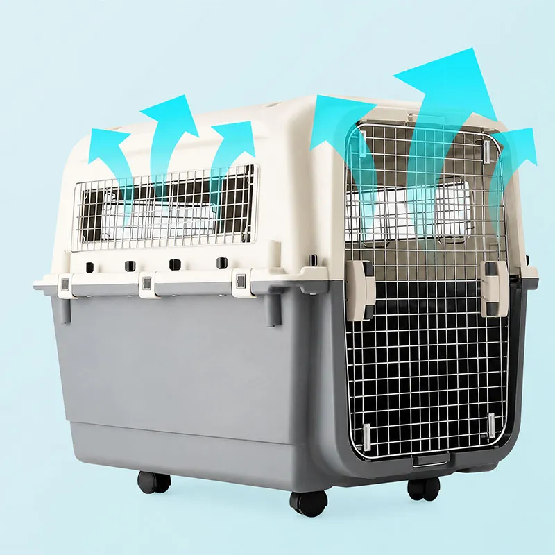 Pet Air Travel Carrier