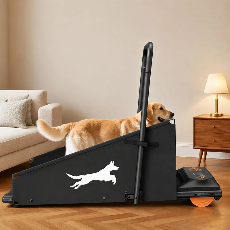 Pet Dog Running Machine