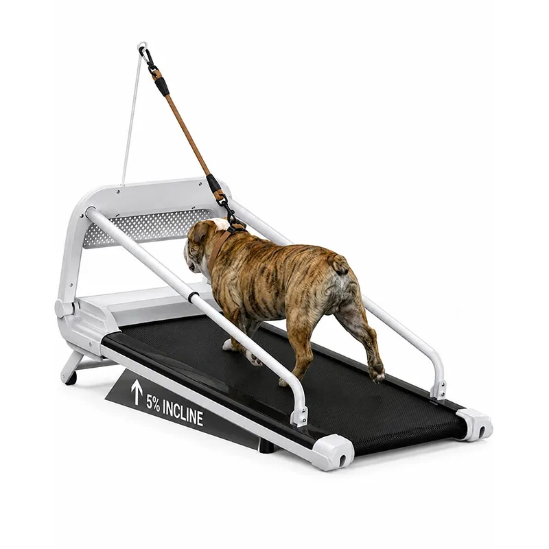 Pet Dog Running Machine for Small & Medium Dogs