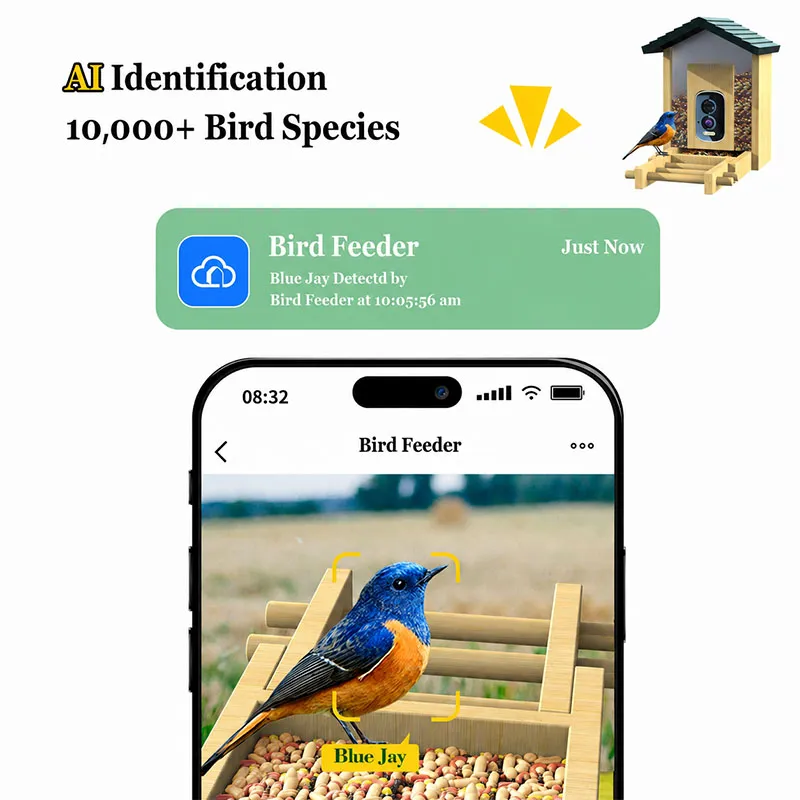 Smart Bird Feeder