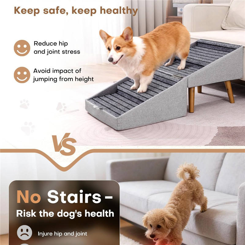 How to Make Your Home More Accessible for Your Senior Dog Detailed Guide 2 How to Make Your Home More Accessible for Your Senior Dog Detailed Guide