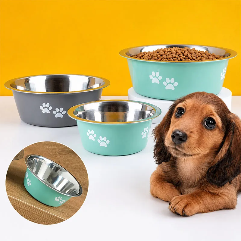 Stainless Steel Dog Bowl With Rubber Base