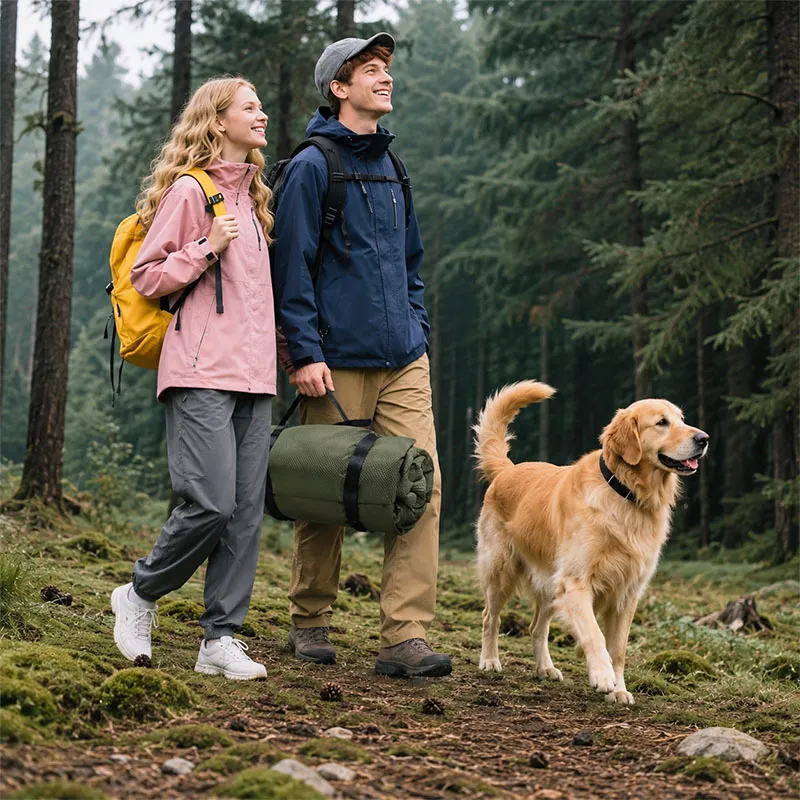 Portable dog camping bed