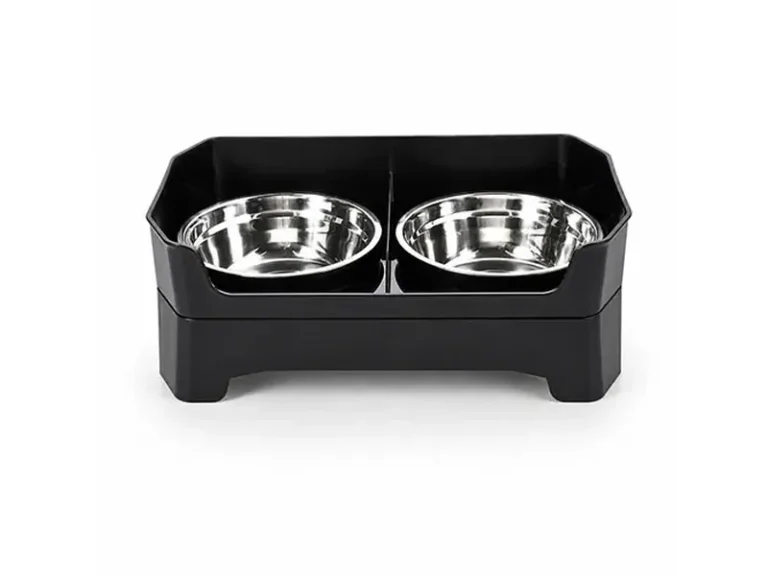 Double Dog Bowl Feeder: How to Choose the Right Dog Bowl Stand for Food and Water