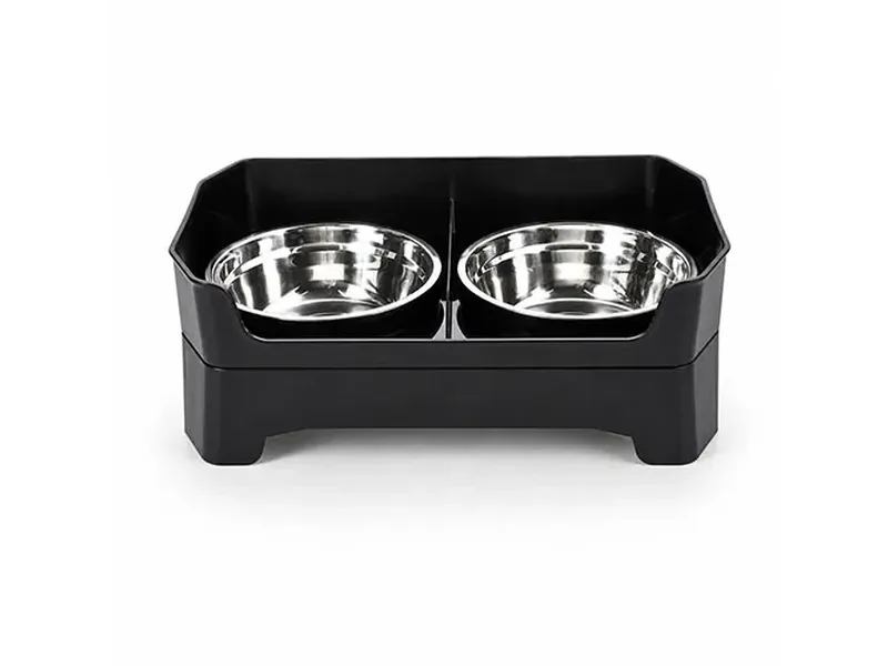 Double Dog Bowl Feeder: How to Choose the Right Dog Bowl Stand for Food and Water