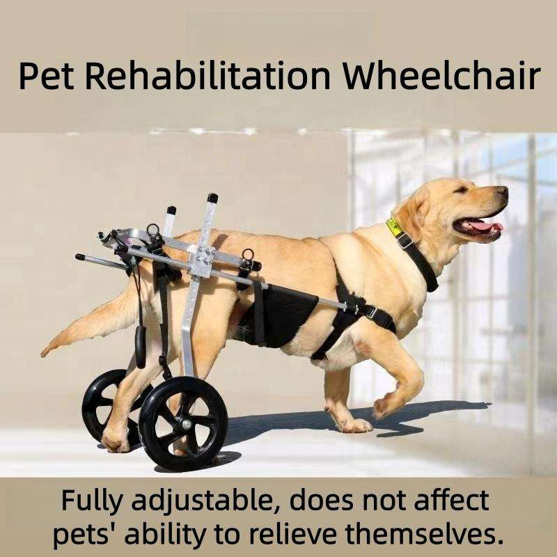 dog wheelchair for back legs, dog wheelchair back legs, rear support dog wheelchair, wheels for dogs hind legs, rear wheels for dogs, aluminum alloy dog wheelchair, pet mobility cart, hind leg support
