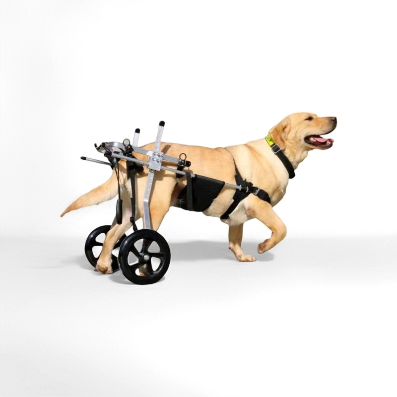 dog wheelchair for back legs, dog wheelchair back legs, rear support dog wheelchair, wheels for dogs hind legs, rear wheels for dogs, aluminum alloy dog wheelchair, pet mobility cart, hind leg support