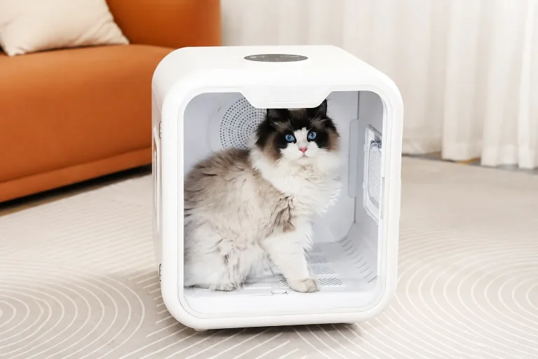 Pet Dryer Box Buying Guide: Specs, Temperature & MOQ