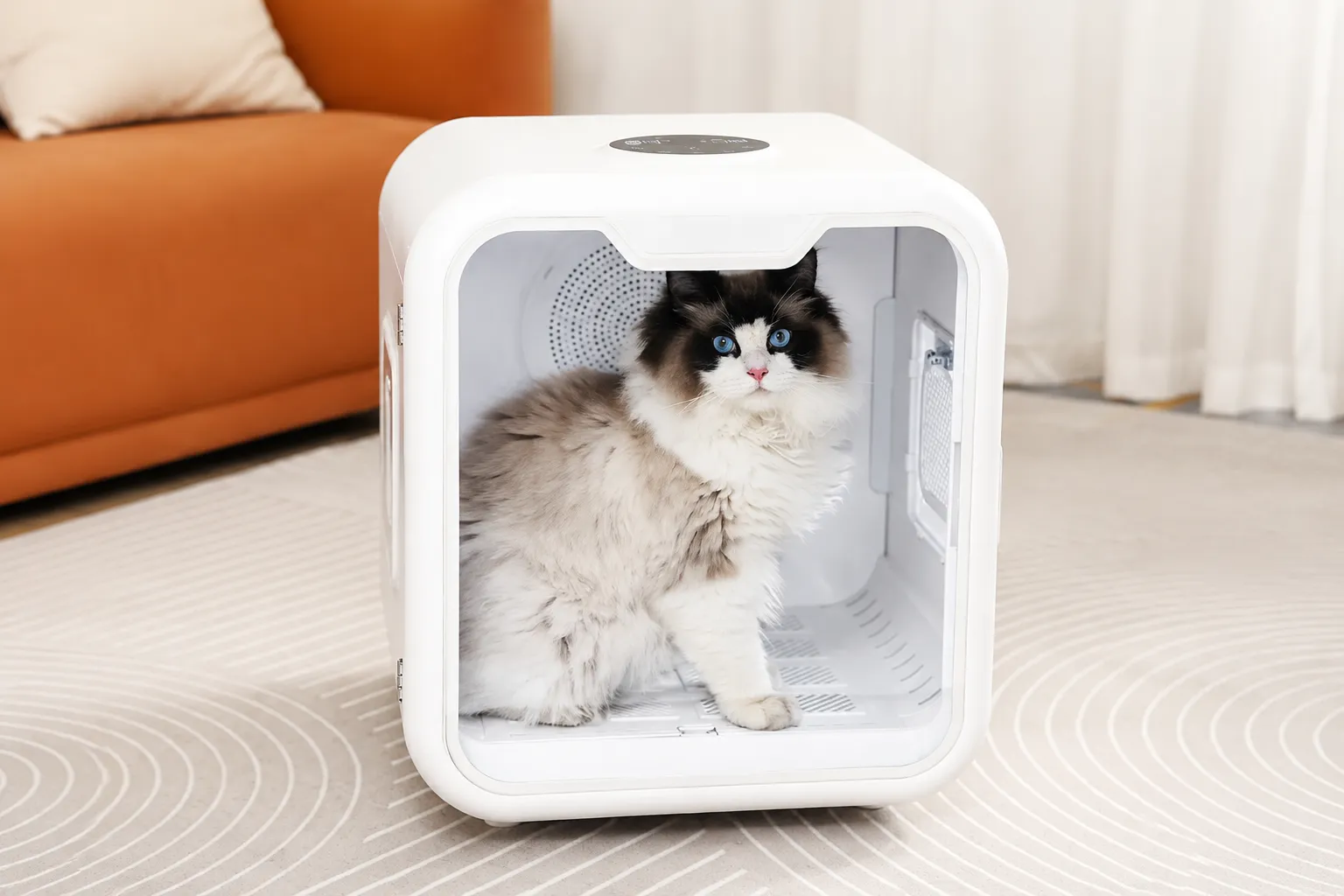 Pet Dryer Box Buying Guide: Specs, Temperature & MOQ