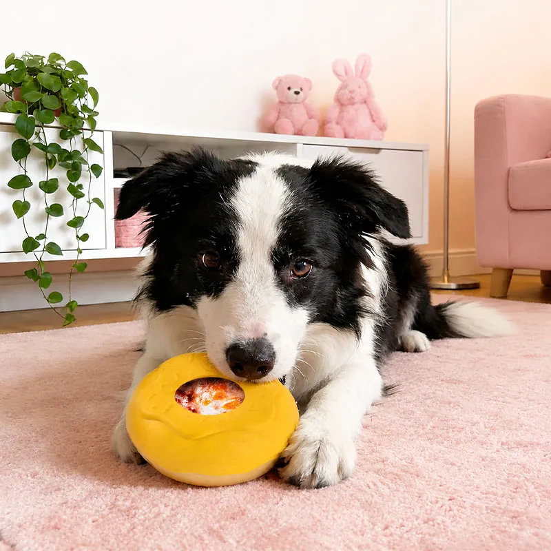 Frozen Dog Enrichment Toy for Aggressive Chewers