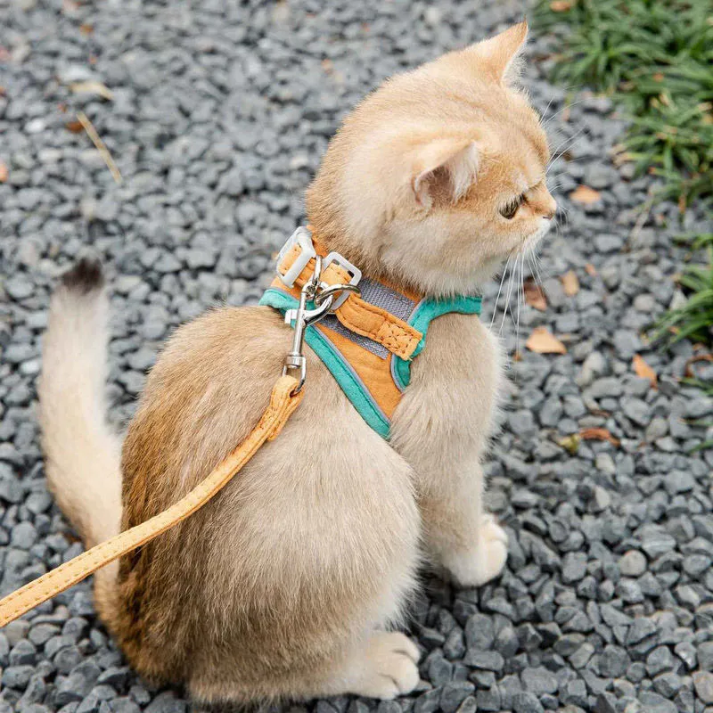 SHook & Loop Adjustable Reflective Cat Leash Set