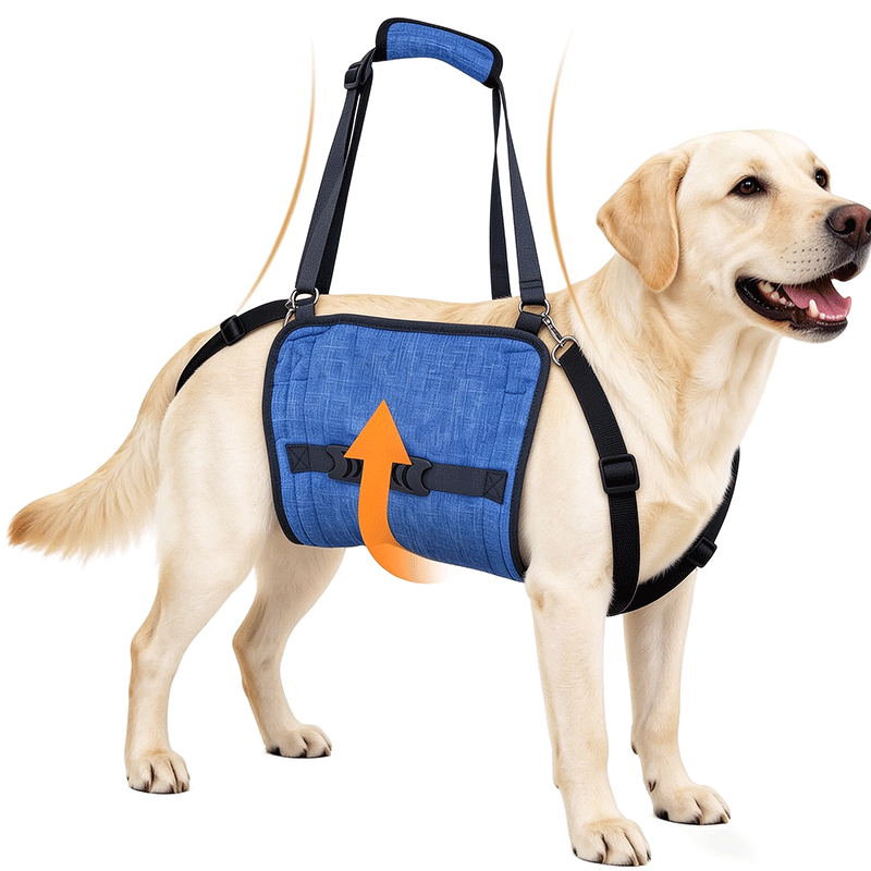 Dog Lift Harness and Rear Leg Support Sling